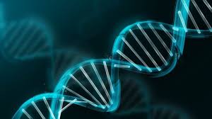 genetica